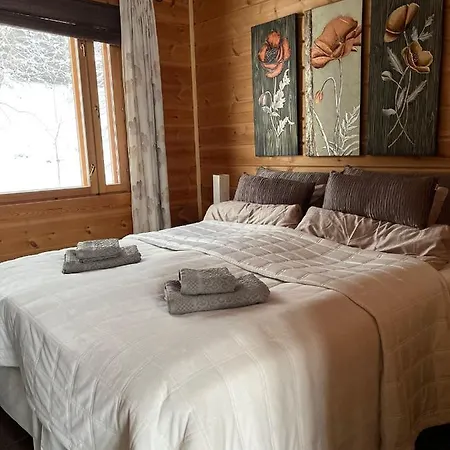 Joutsen Villa Hollola